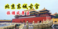 大鸡巴操我无码在线中国北京-东城古宫旅游风景区